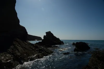 DSC_2604 (Large).JPG